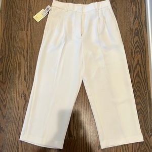 Aritzia effortless pant cropped